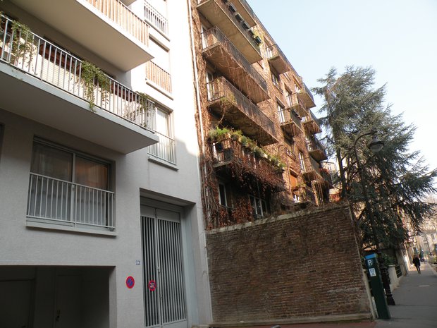  immeuble envahi par la végétation, rue de la Colonie